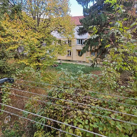 59 Apartment