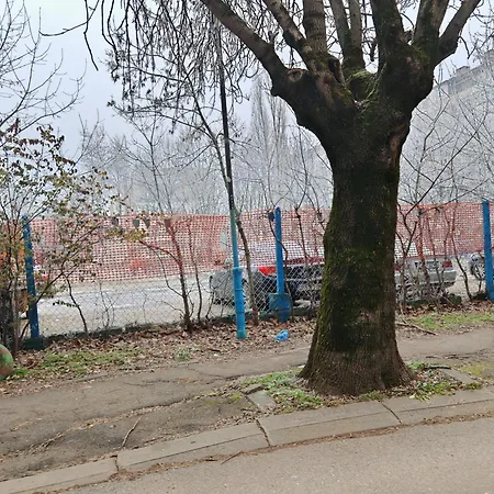 59 * София